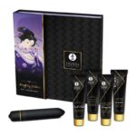 Shunga - Naughty Geisha Kit