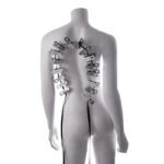 Sportsheets - Edge Body Zipper Clothes Pins - Silver