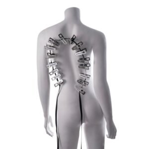 Sportsheets - Edge Body Zipper Clothes Pins - Silver