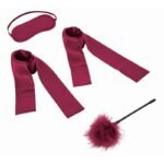 Sportsheets - Sex & Mischief Enchanted Starter Kit